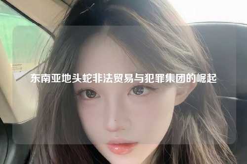 东南亚地头蛇非法贸易与犯罪集团的崛起